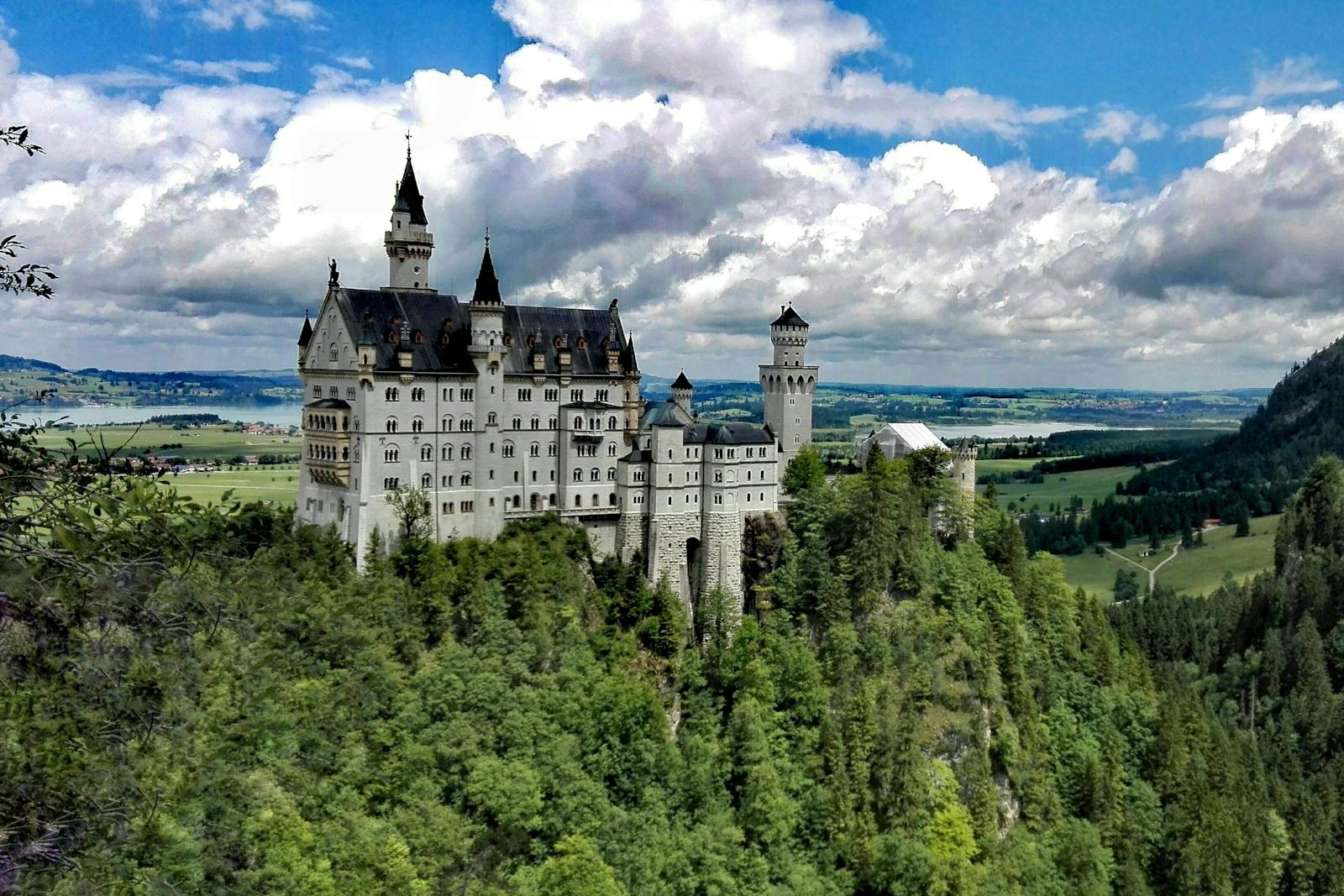 Panoramautsigt over Neuschwanstein Slot over skoven