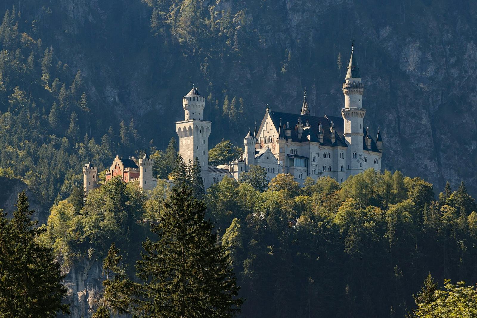 el Castillo de Neuschwanstein sobre el bosque