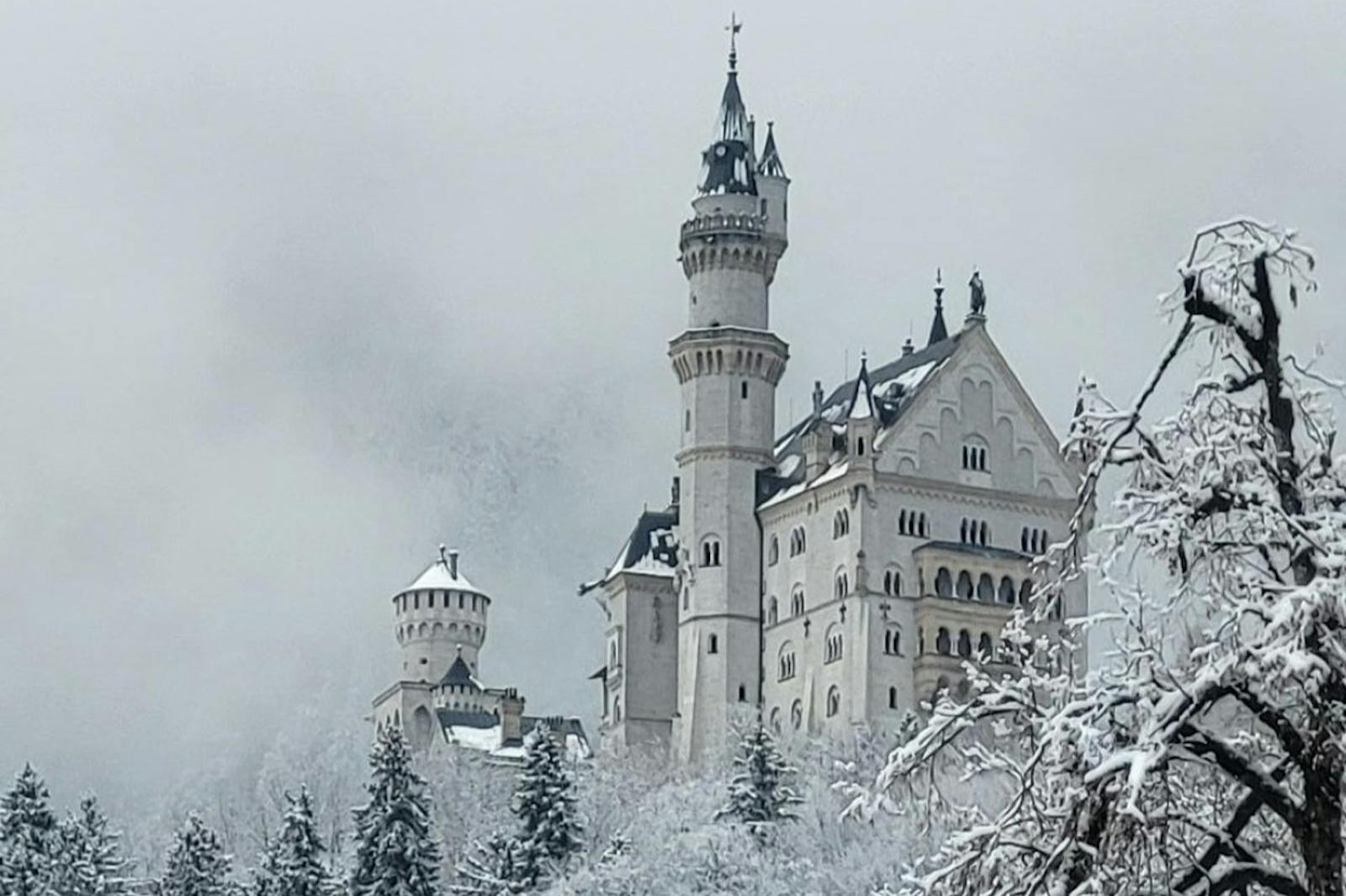 Neuschwanstein-slottet under snø